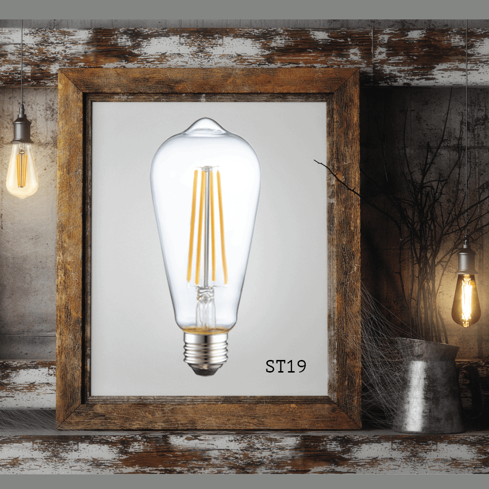 Industrial Light bulb photo in picture frame