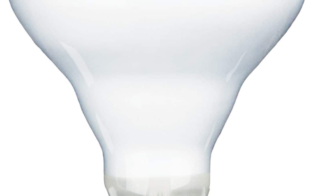Good Life LED Filament BR30 Lamp – 4.6″, 8W, 27K-18K