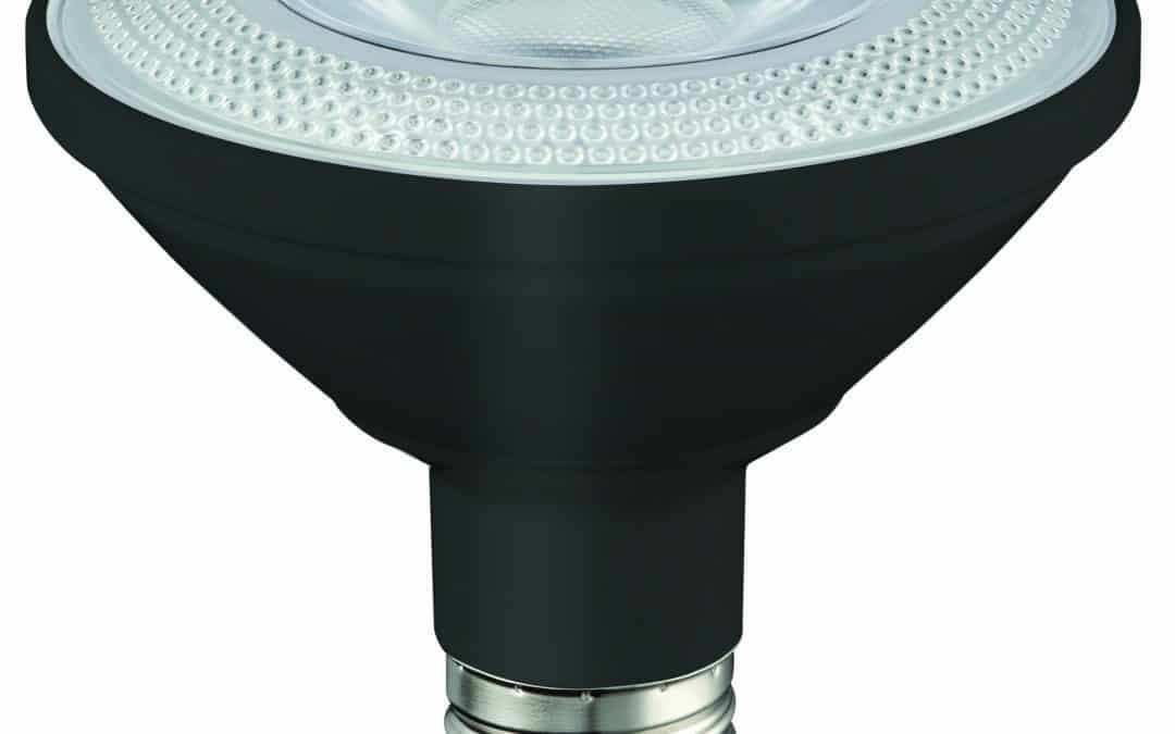LED Par Lamp P30 FL- 3.8″, 10W, 27K