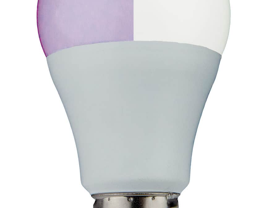 LED ColorFlip A19 Lamp Purple – 4.3″, 10W, 27K