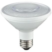 LED PAR Lamps