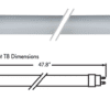 LED Ballast Bypass Double Ended T8 Tube - 4', 12W, 30K - Image 2