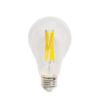 Pro Line Filament 100w A19 30K