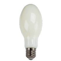 High Lumen LED Filament Lamps Frost - 8.2", 250W, 40K