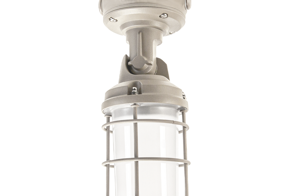 Outdoor Cage Light WS CCT
