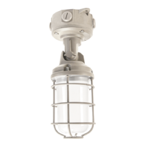 Outdoor Cage Light WS CCT
