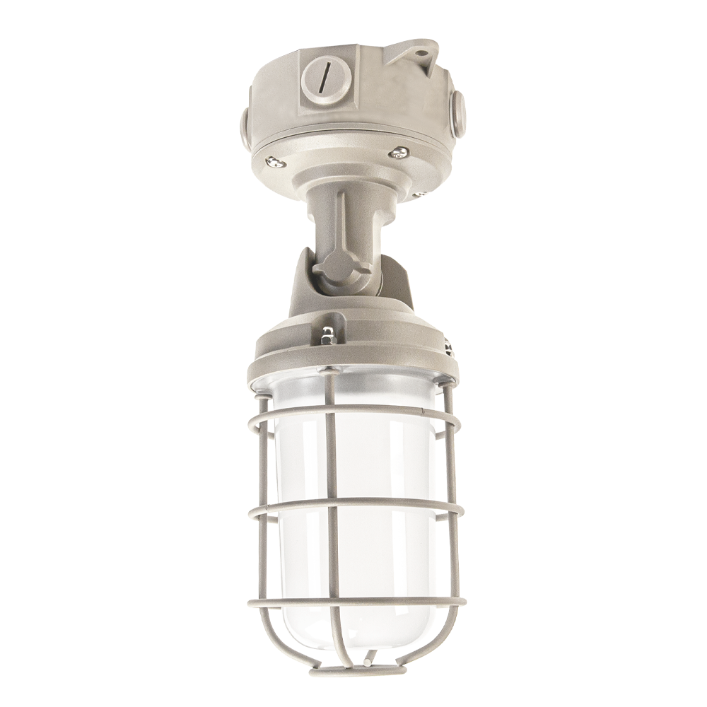 Outdoor Cage Light WS CCT